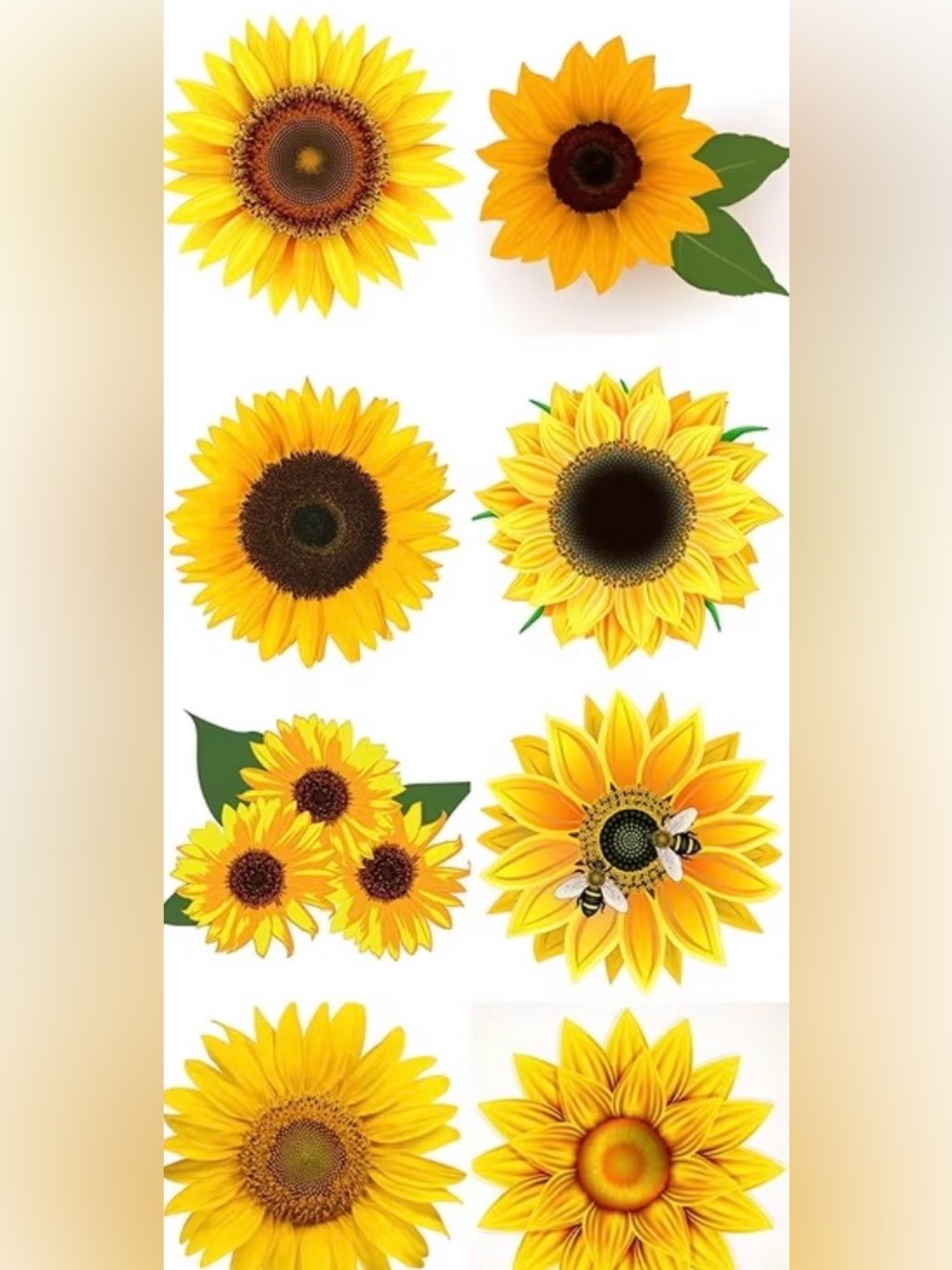 Sunflower Sticker Roll - 500/roll 1.5inches - Picture 3 of 3